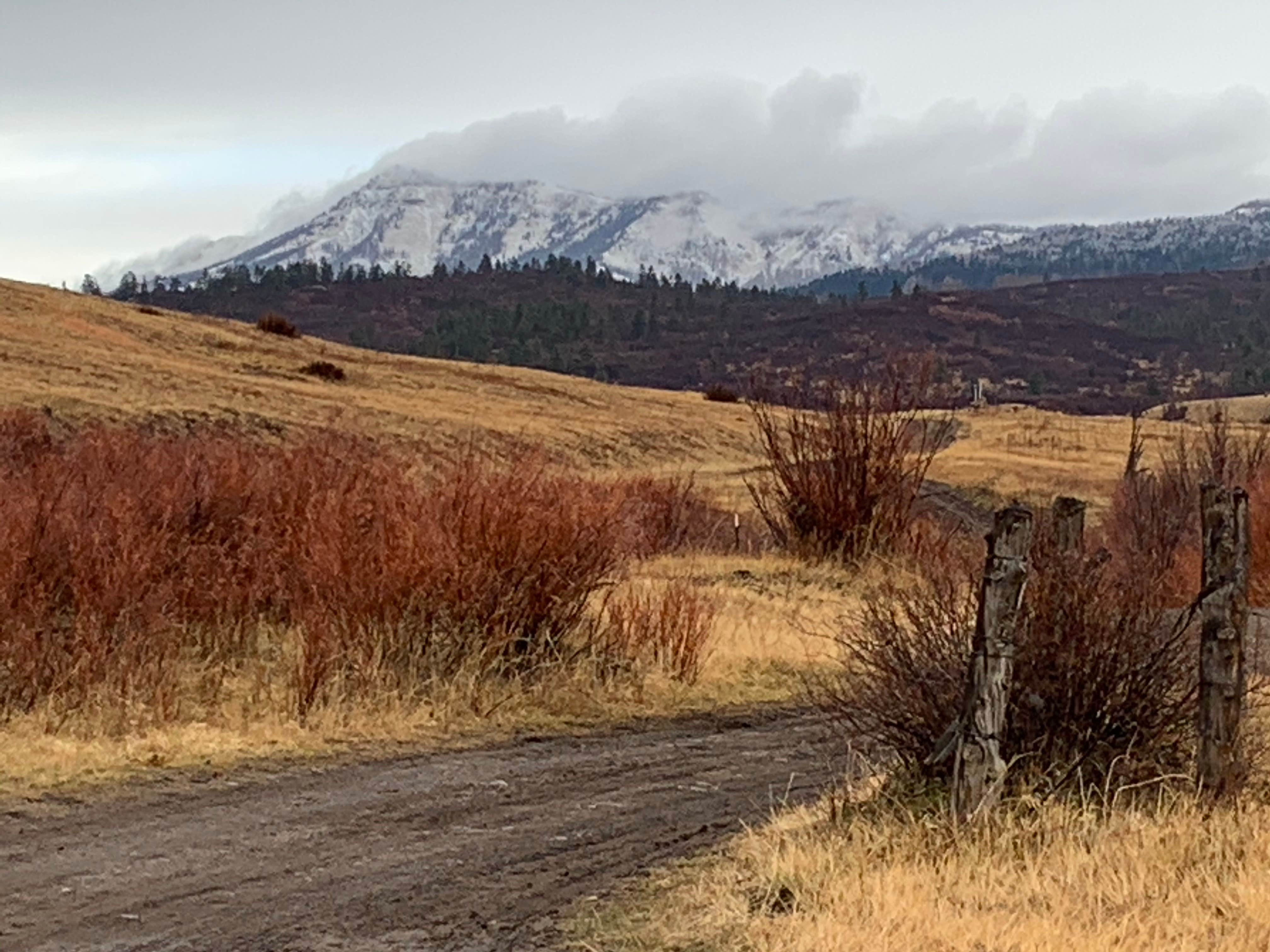Camper-submitted photo at Edward Sargeant Wildlife Management Area near Los Ojos, NM