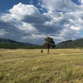 Review photo of Edward Sargeant Wildlife Management Area by Angelika H., June 23, 2026