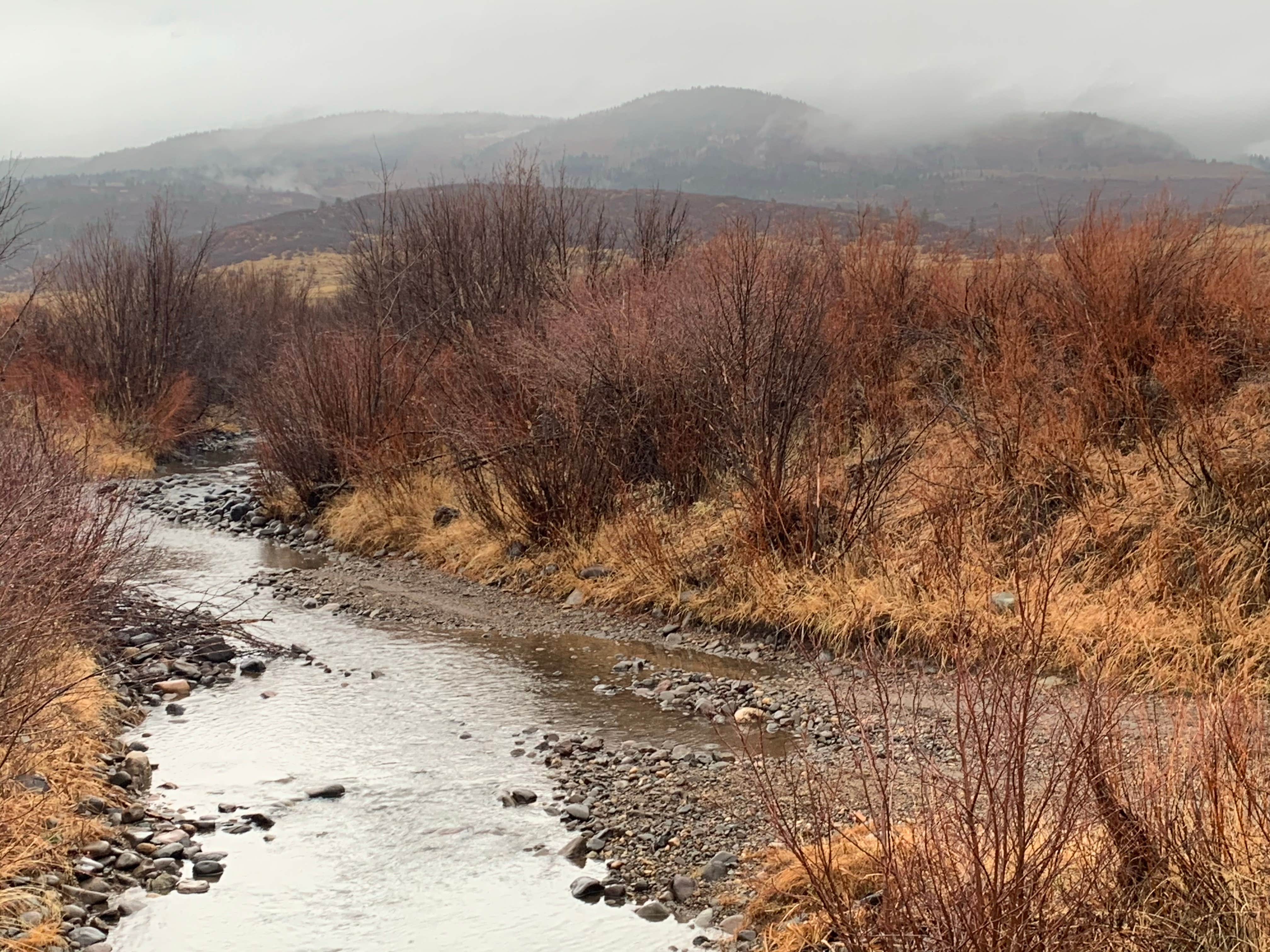 Camper submitted image from Edward Sargeant Wildlife Management Area - 2