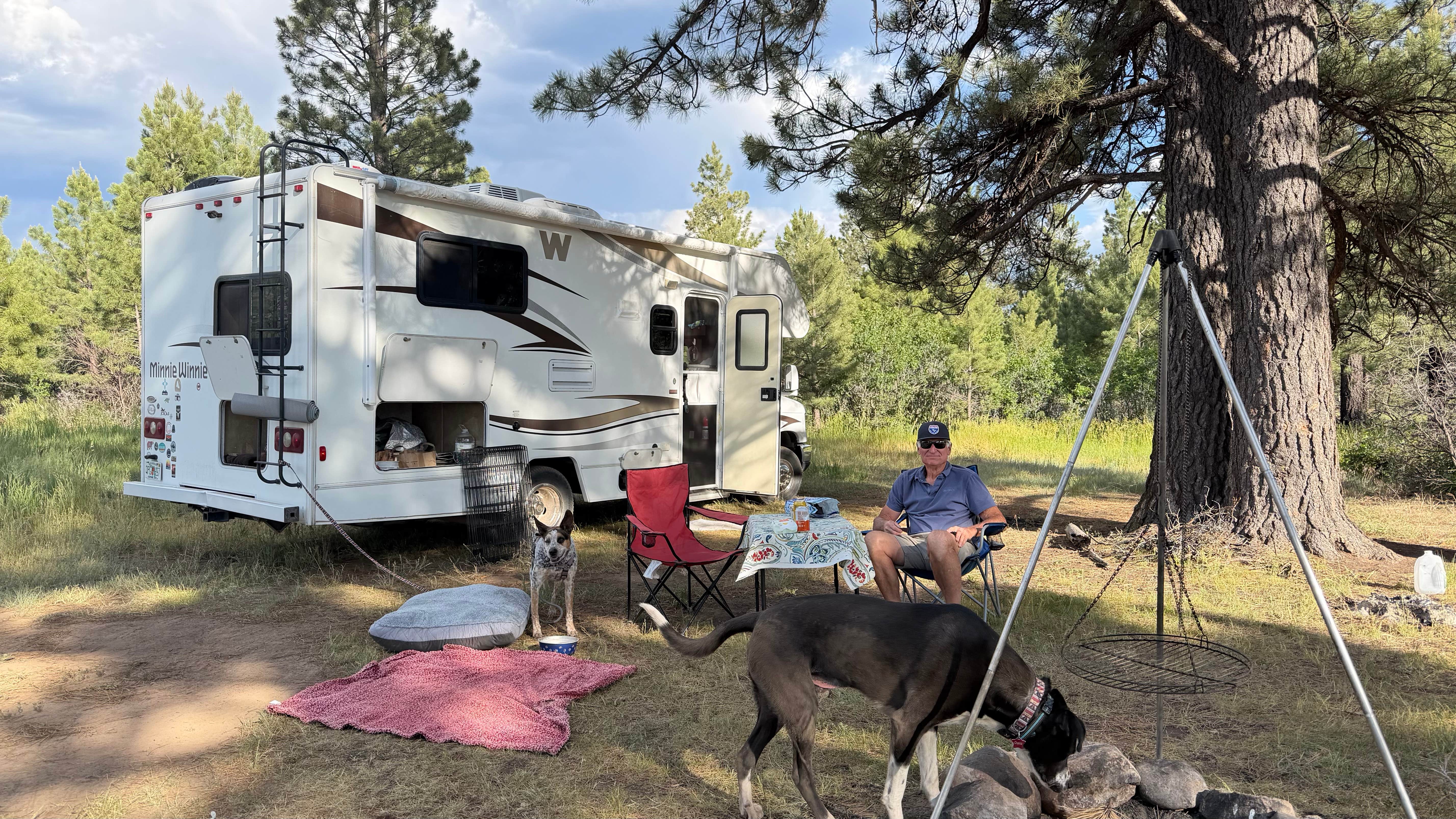 Angelika H.'s photo at Edward Sargeant Wildlife Management Area near Tierra Amarilla, NM