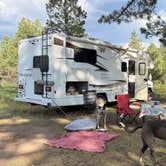 Review photo of Edward Sargeant Wildlife Management Area by Angelika H., June 23, 2026