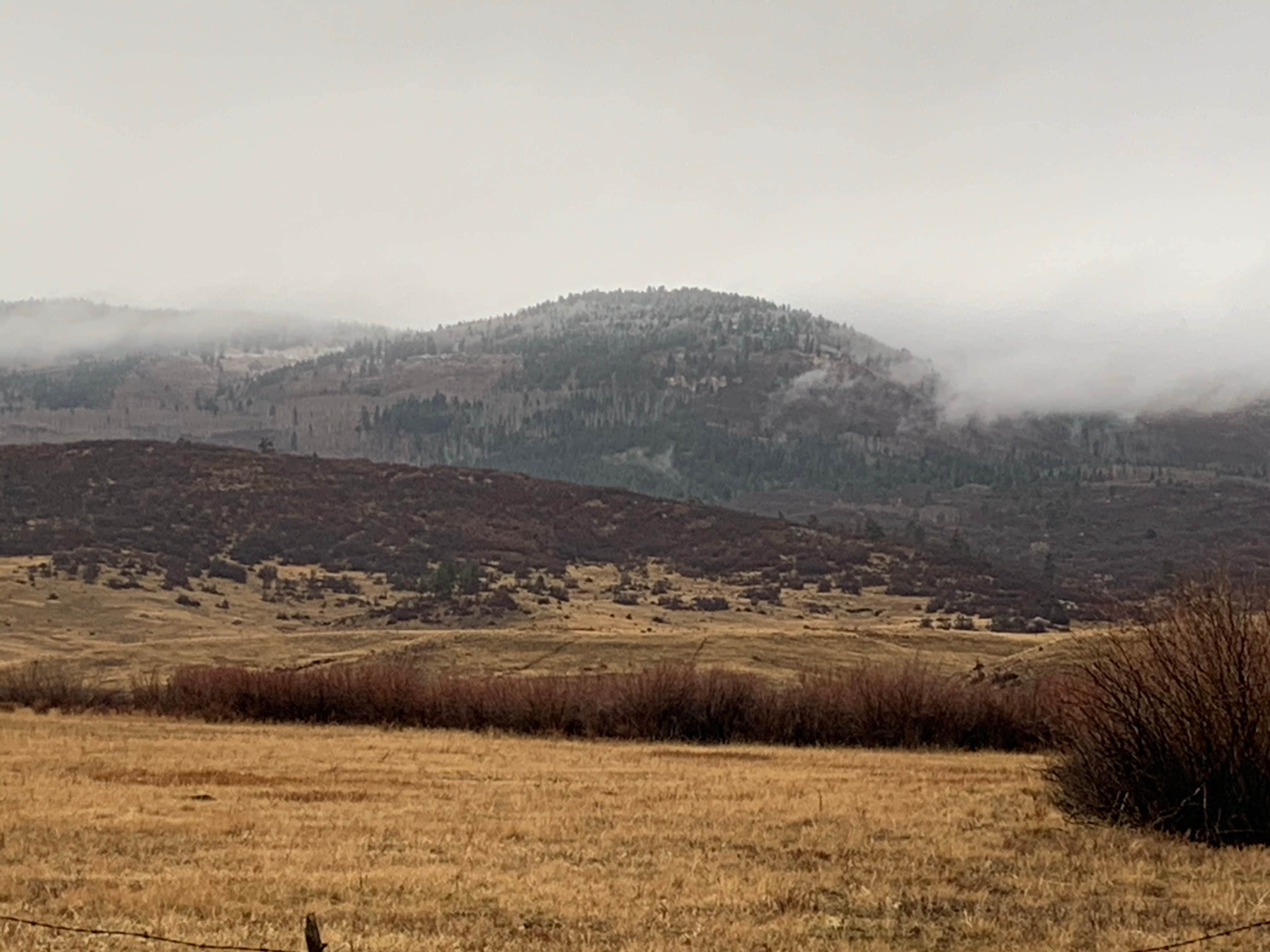 Camper-submitted photo at Edward Sargeant Wildlife Management Area near Los Ojos, NM