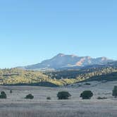 Review photo of Edward Sargeant Wildlife Management Area by Vinny D., September 6, 2026