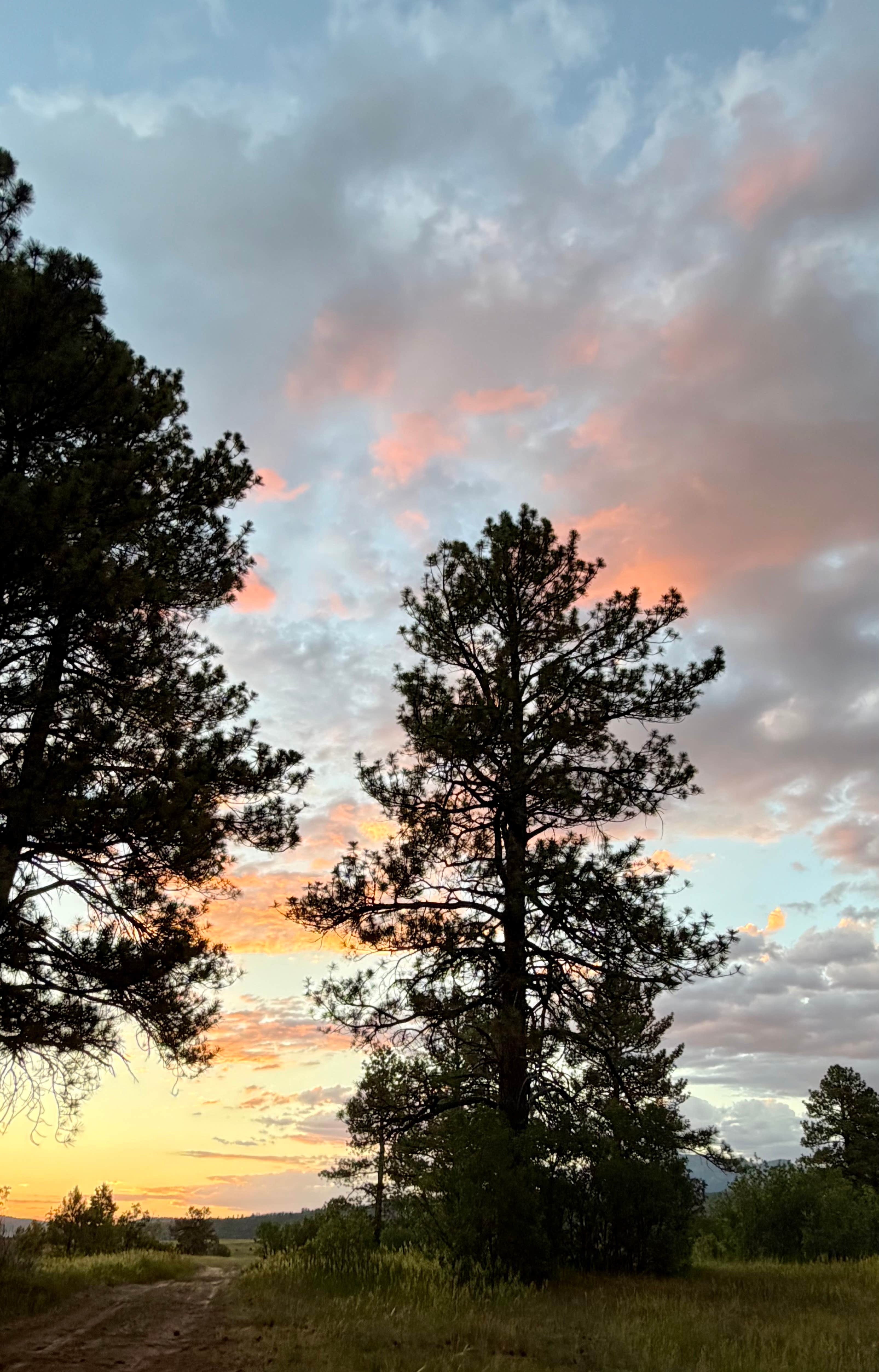 Camping near Sky Mountain Resort RV Park: Edward Sargeant Wildlife Management Area, Chama, New Mexico