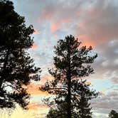 Review photo of Edward Sargeant Wildlife Management Area by Angelika H., June 23, 2026
