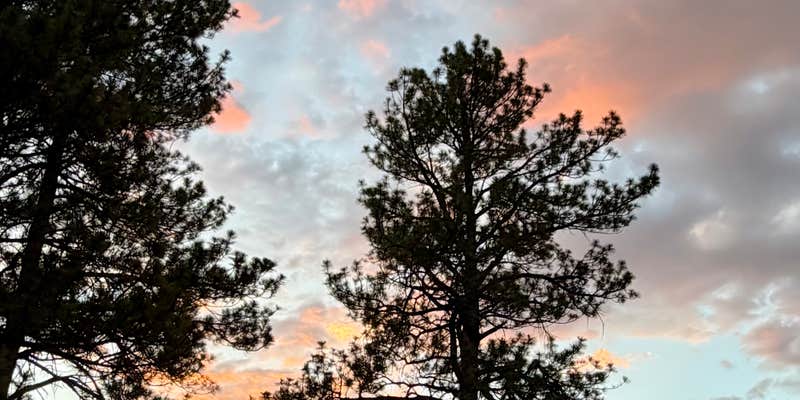 Camper submitted image from Edward Sargeant Wildlife Management Area