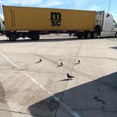 Review photo of Ehrenberg Rest Area - Westbound by Alice S., January 3, 2025