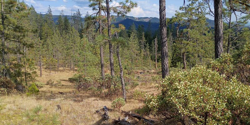 Camper submitted image from Eight Dollar Mountain Pulloff