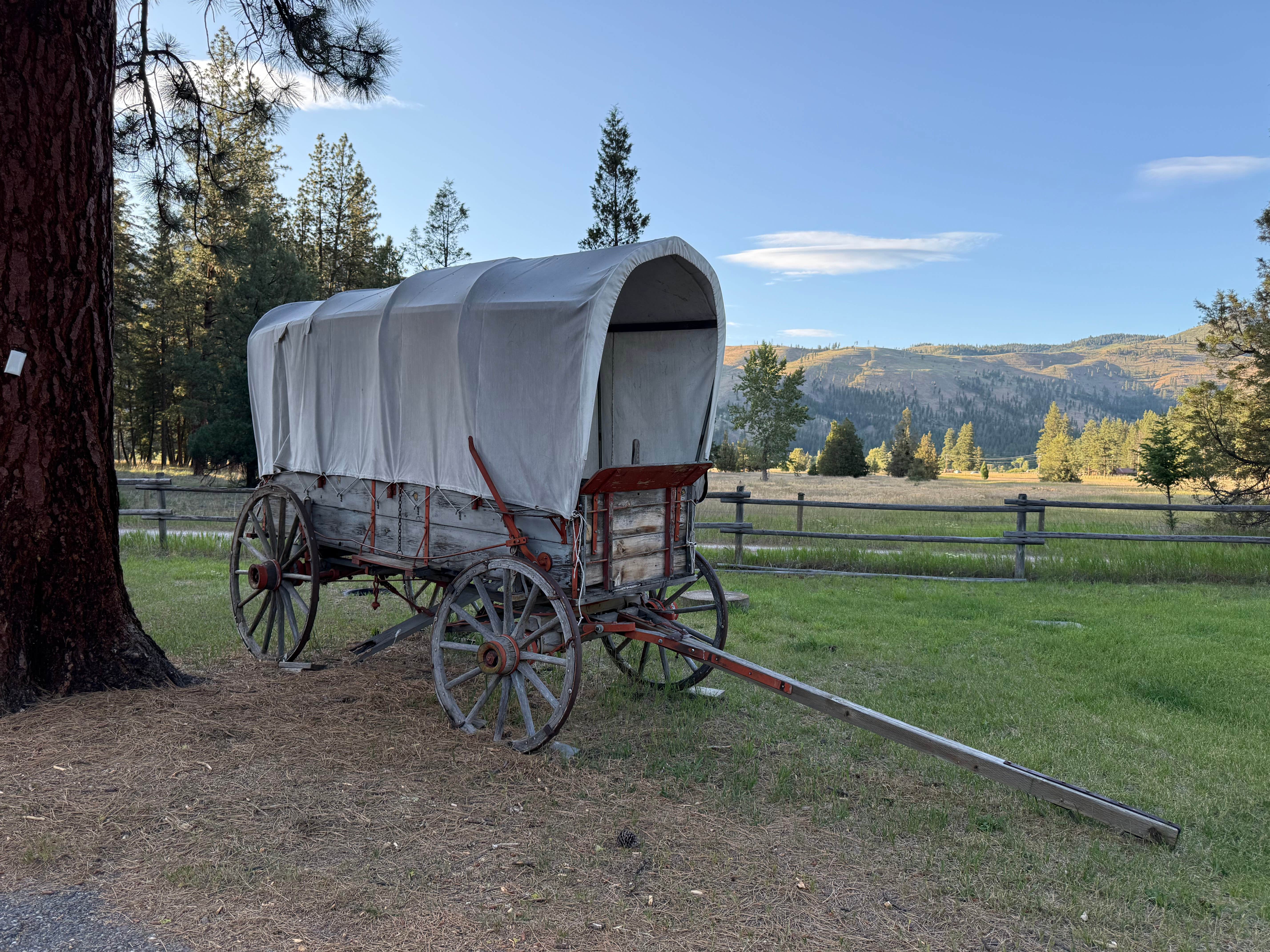 Andrea B.'s photo of camping with a horse at Ekstrom's Stage Station Campground near Florence, MT