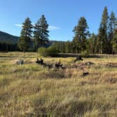 Review photo of Ekstrom's Stage Station Campground by Andrea B., June 28, 2025