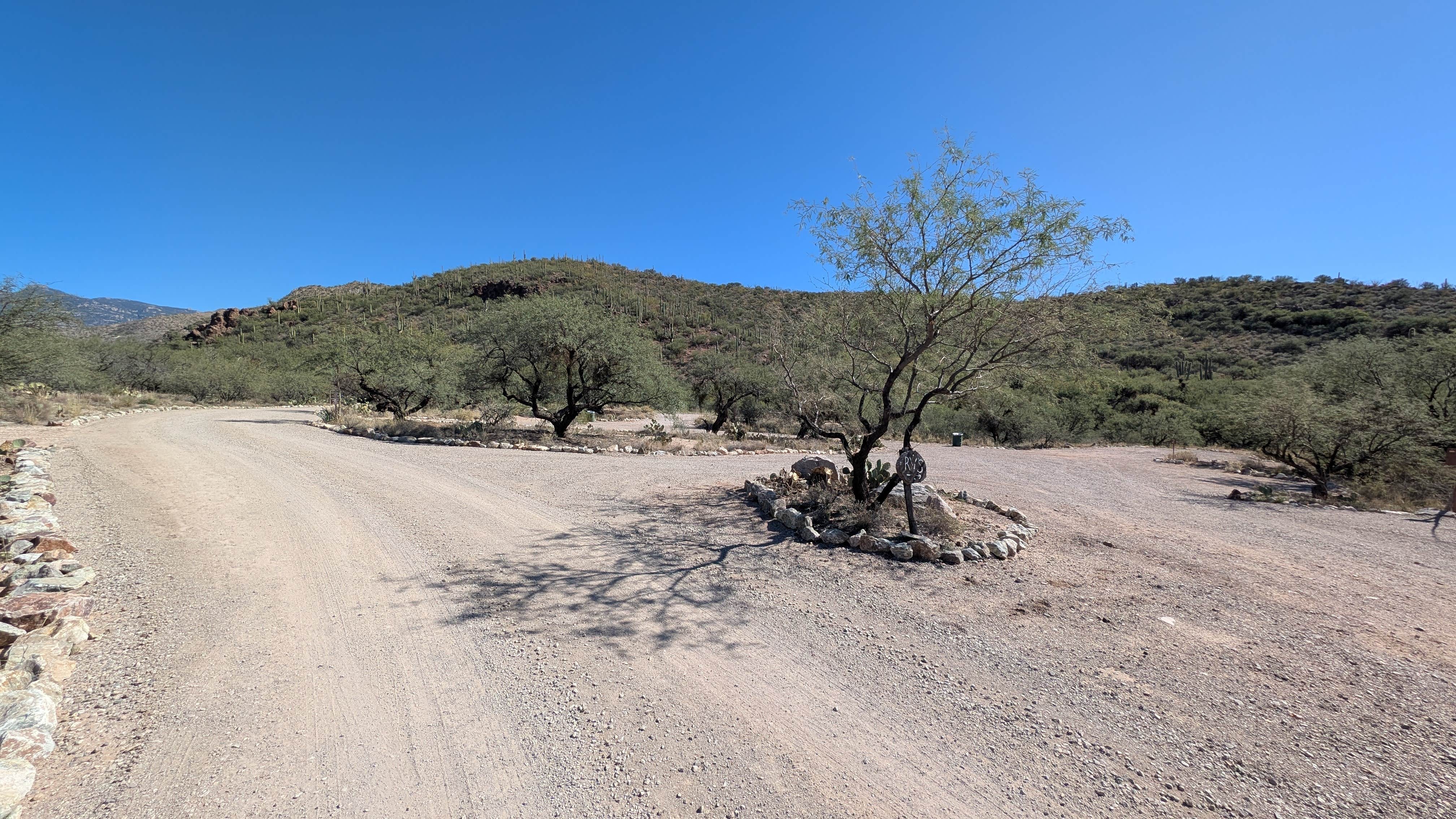 Camper-submitted photo at El Bosquecito near Marana, AZ