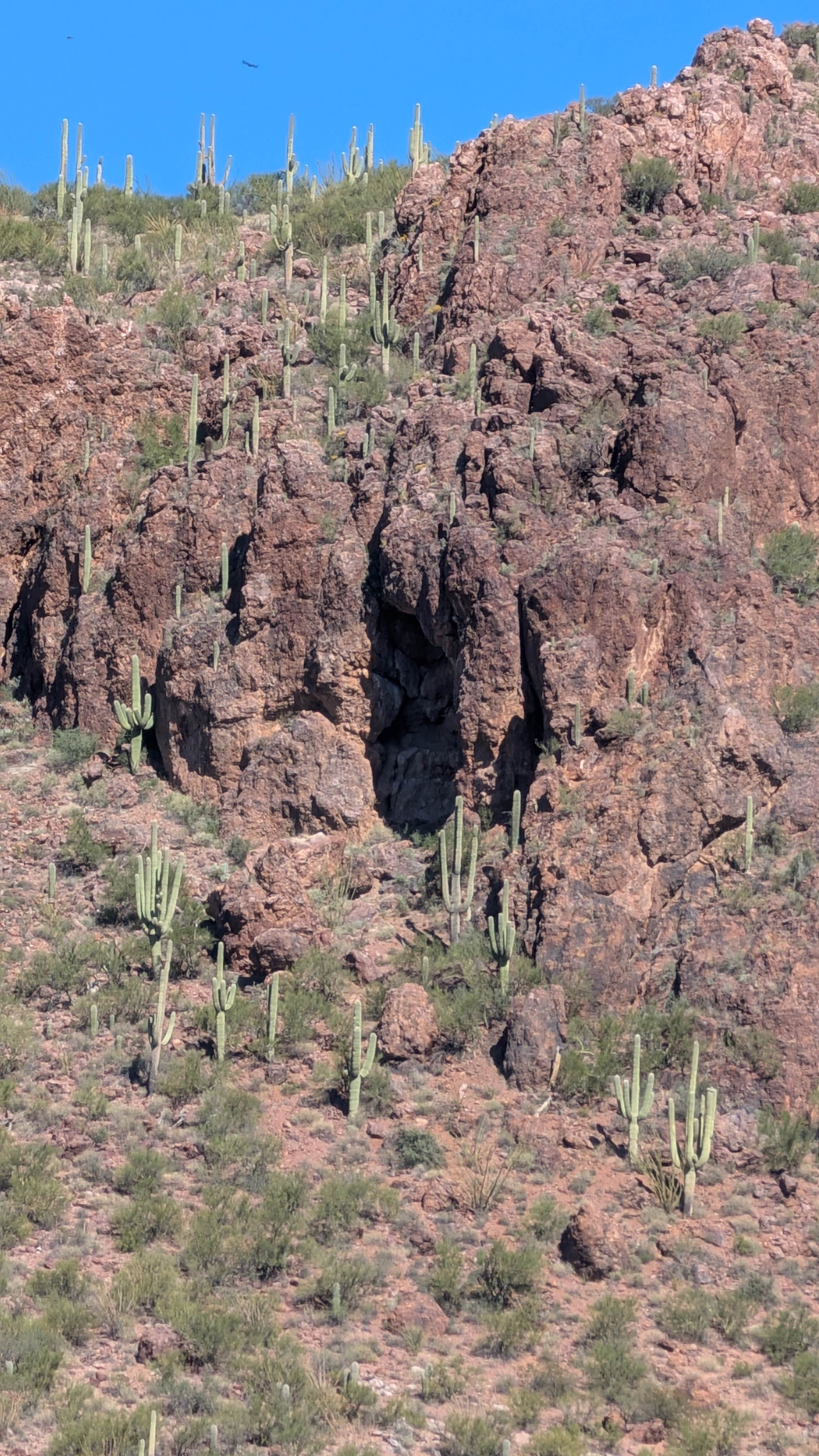 Camping near Happy Valley Saddle Campground — Saguaro National Park: El Bosquecito, Vail, Arizona