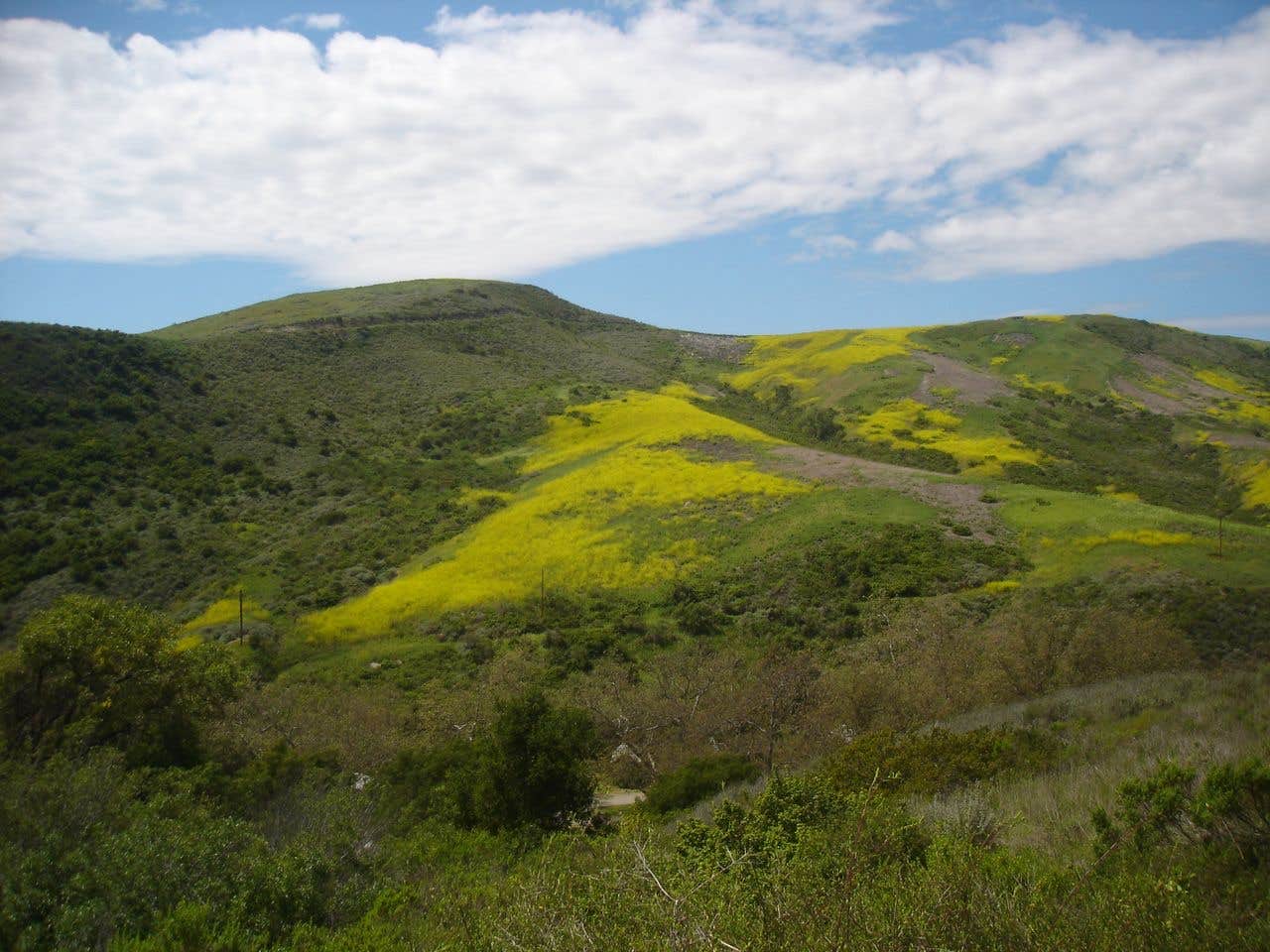Camper submitted image from El Capitan Canyon - 3