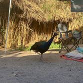 Review photo of El Dorado Hot Springs by Shirlee A., November 2, 2025