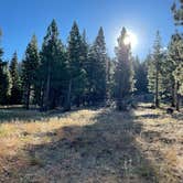 Review photo of Packsaddle Pass - El Dorado National Forest Dispersed by Tim R., October 5, 2024