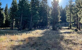 Tim R.'s photo of a dispersed camping area at Packsaddle Pass - El Dorado National Forest Dispersed near Garden Valley, CA