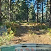 Review photo of Packsaddle Pass - El Dorado National Forest Dispersed by Tim R., October 5, 2024