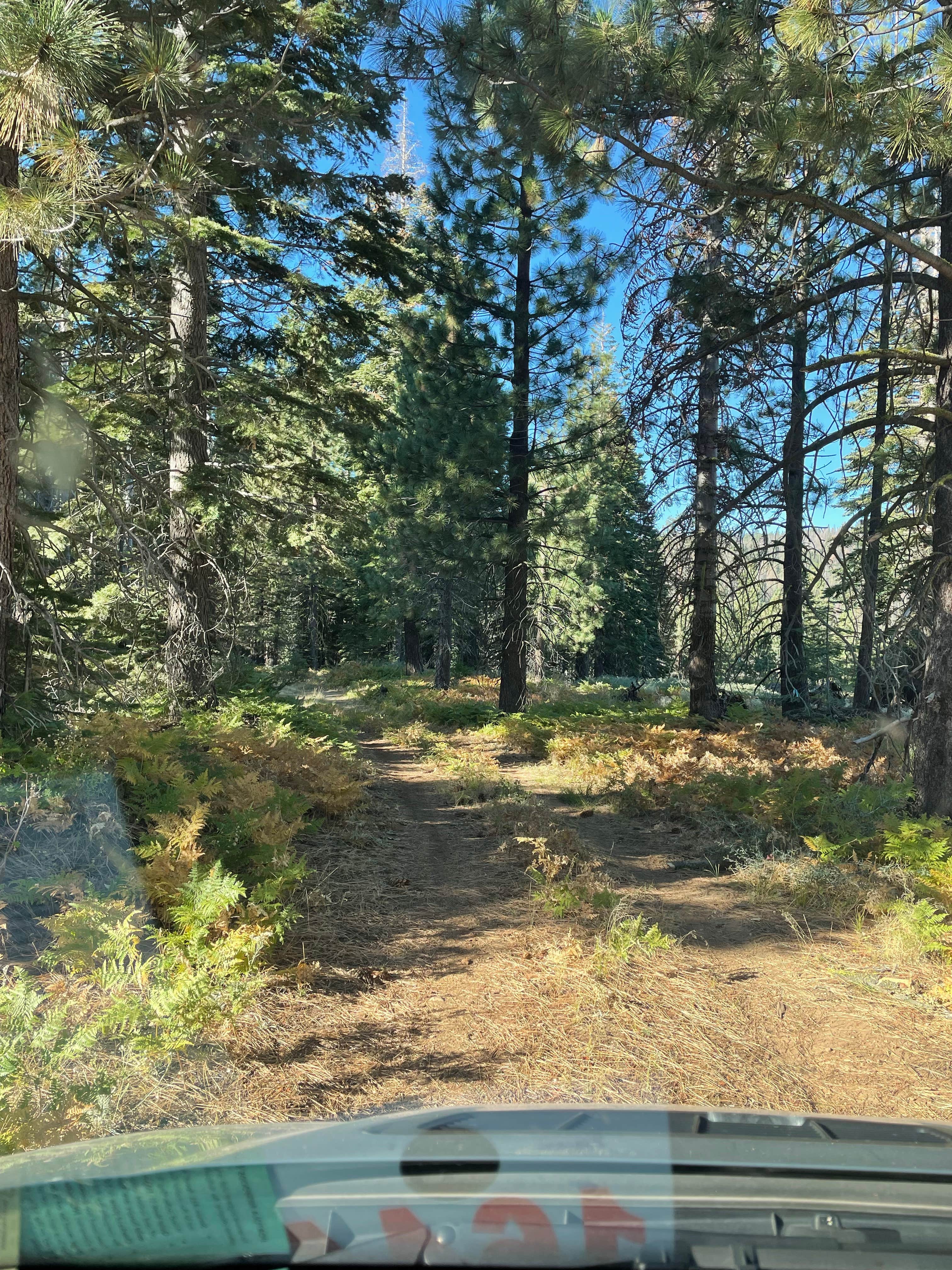 Camper submitted image from Packsaddle Pass - El Dorado National Forest Dispersed - 3