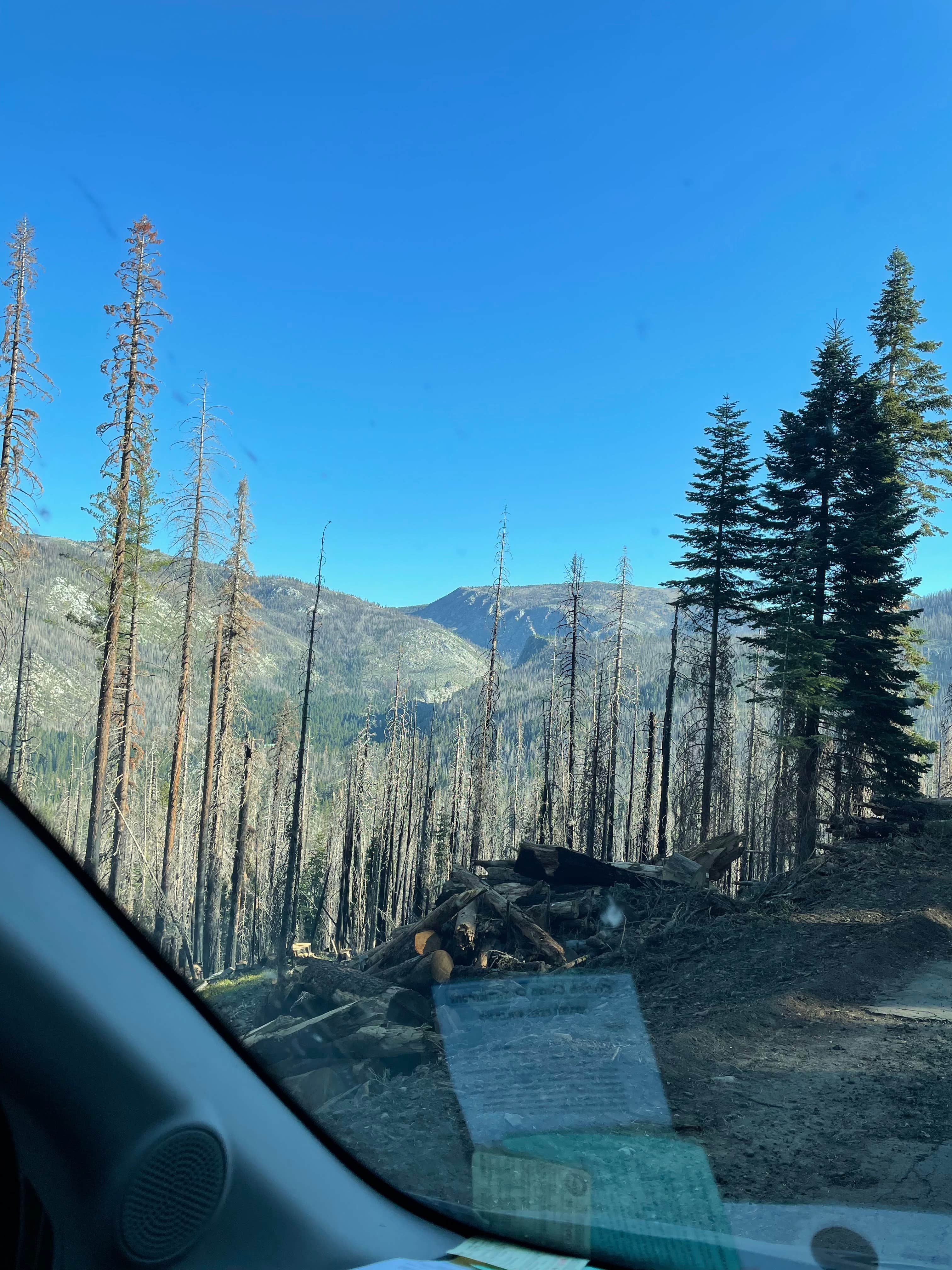 Camper submitted image from Packsaddle Pass - El Dorado National Forest Dispersed - 1