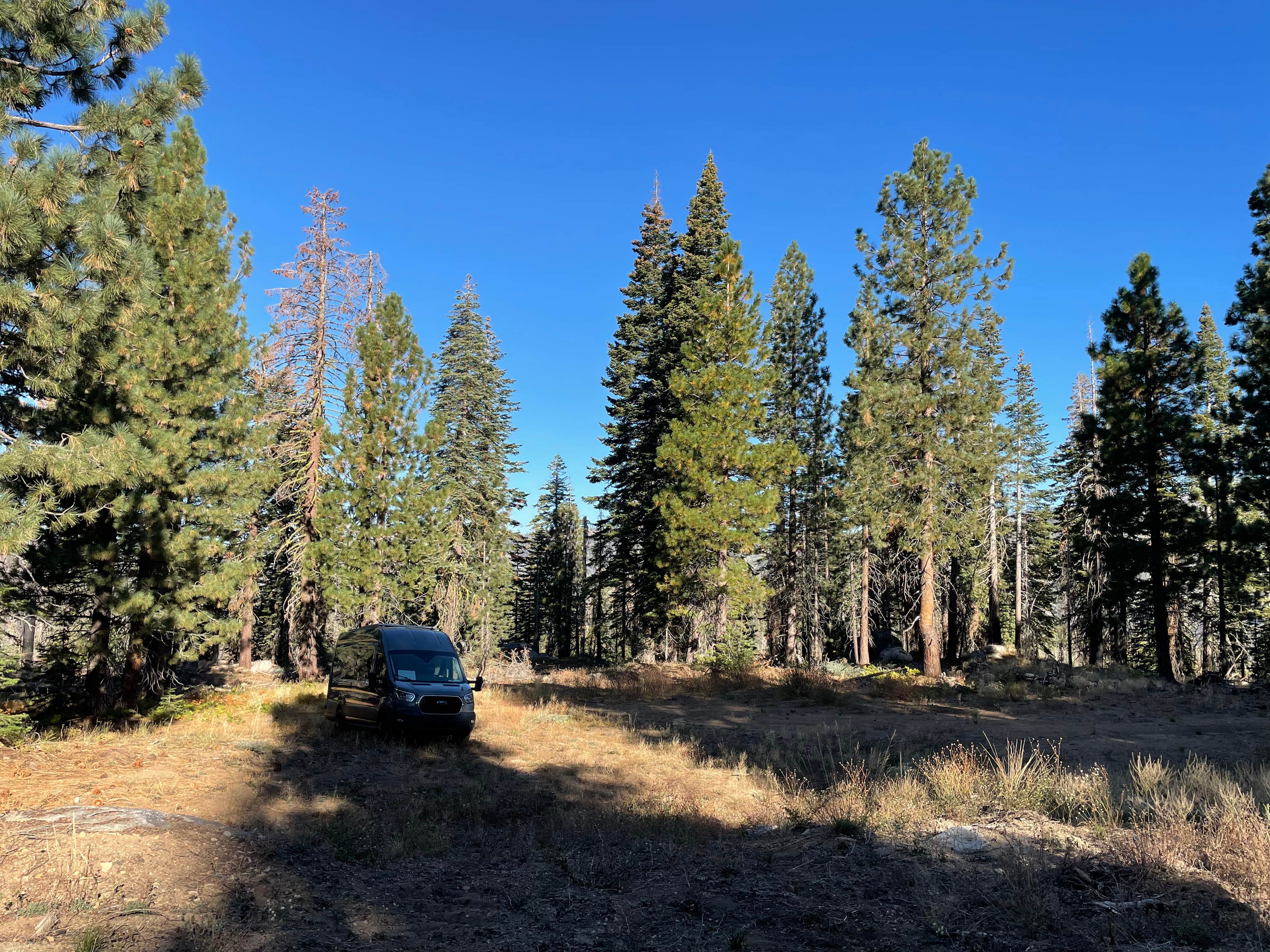 Camper-submitted photo at Packsaddle Pass - El Dorado National Forest Dispersed near Fort Jones, CA