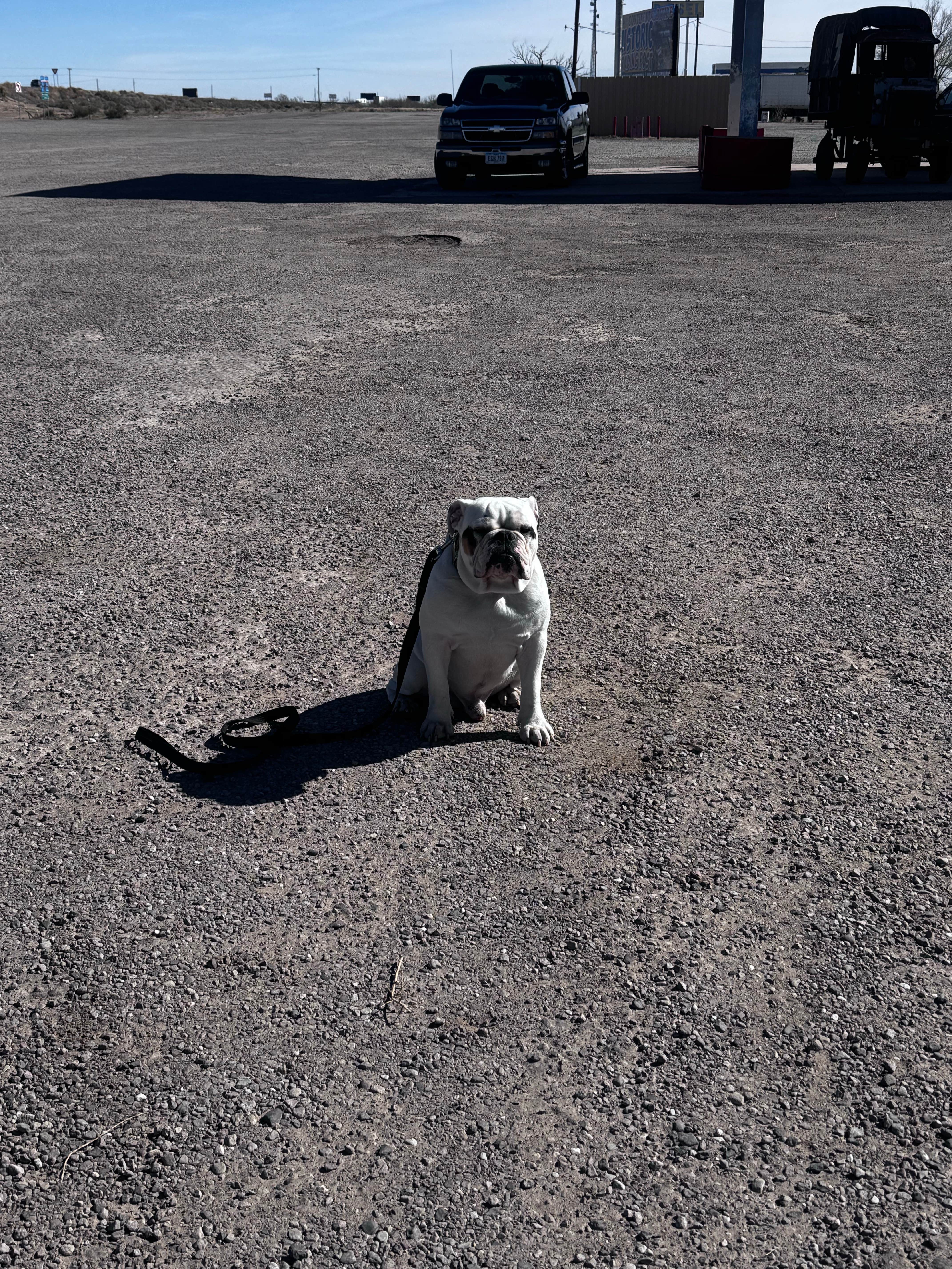 Angie S.'s photo of camping with pets at El Paso Roadrunner RV Park near El Paso, TX