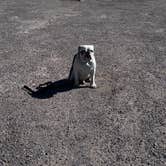 Review photo of El Paso Roadrunner RV Park by Angie S., February 6, 2026