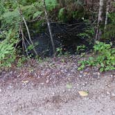 Review photo of Elbow Pond Road Dispersed Site by Kevin C., September 12, 2024