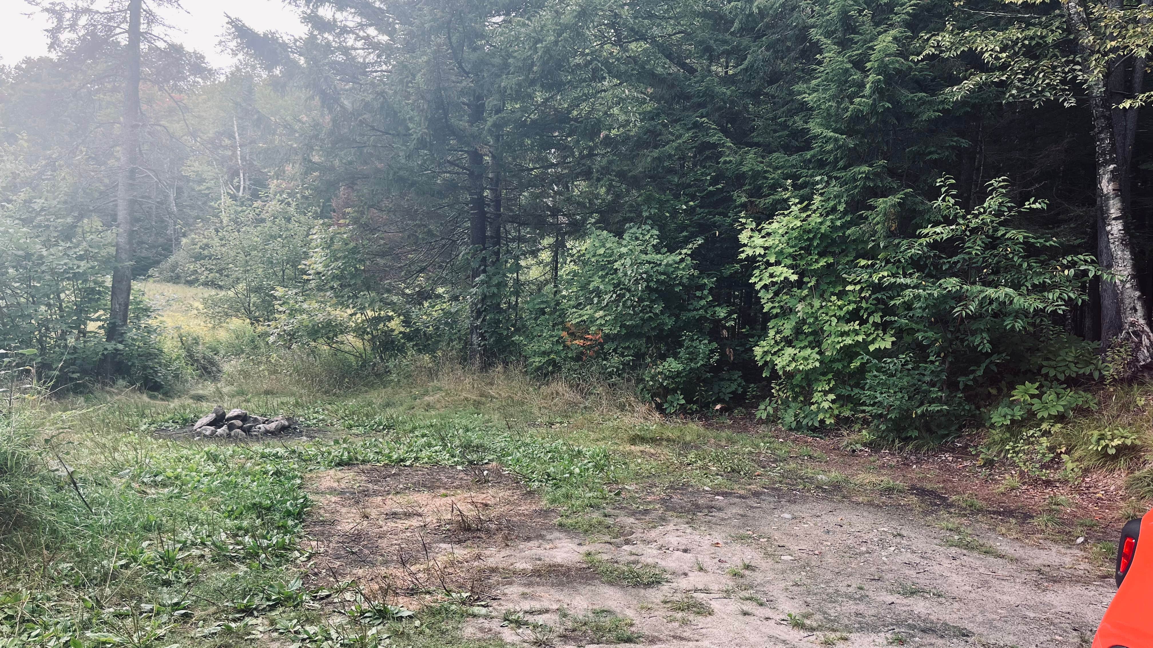 Camper-submitted photo at Elbow Pond Road Dispersed Site near Chocorua, NH