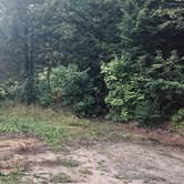 Review photo of Elbow Pond Road Dispersed Site by Cesar V., September 3, 2026
