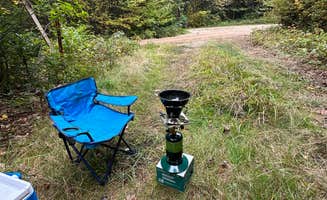 Dom L.'s photo at Elbow Pond Road Dispersed Site near Benton, NH