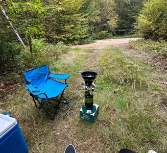 Camper-submitted photo from Elbow Pond Road Dispersed Site