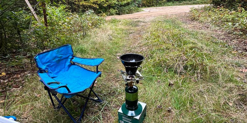 Camper submitted image from Elbow Pond Road Dispersed Site