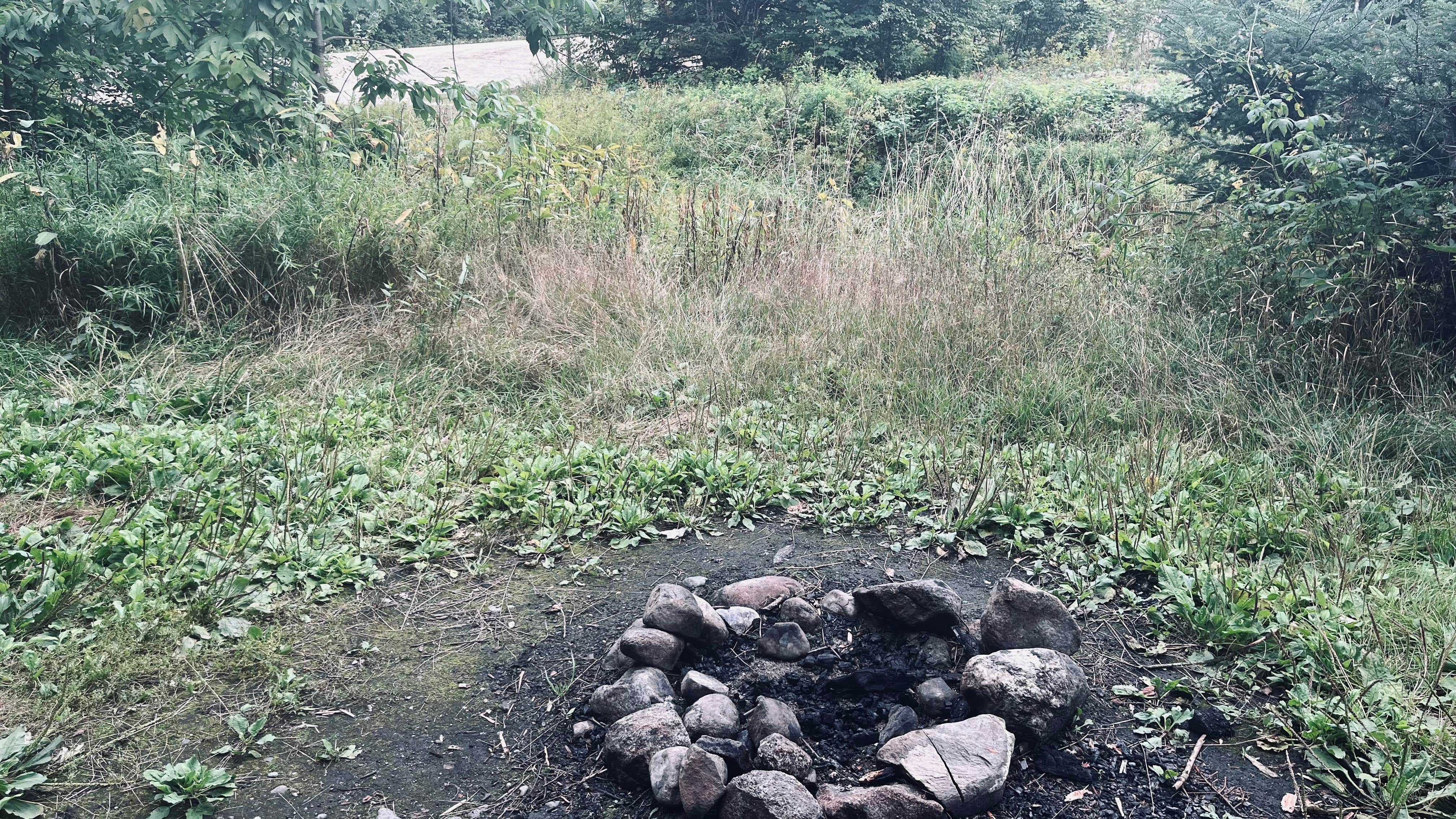 Camper-submitted photo at Elbow Pond Road Dispersed Site near Chocorua, NH