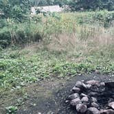 Review photo of Elbow Pond Road Dispersed Site by Cesar V., September 3, 2026