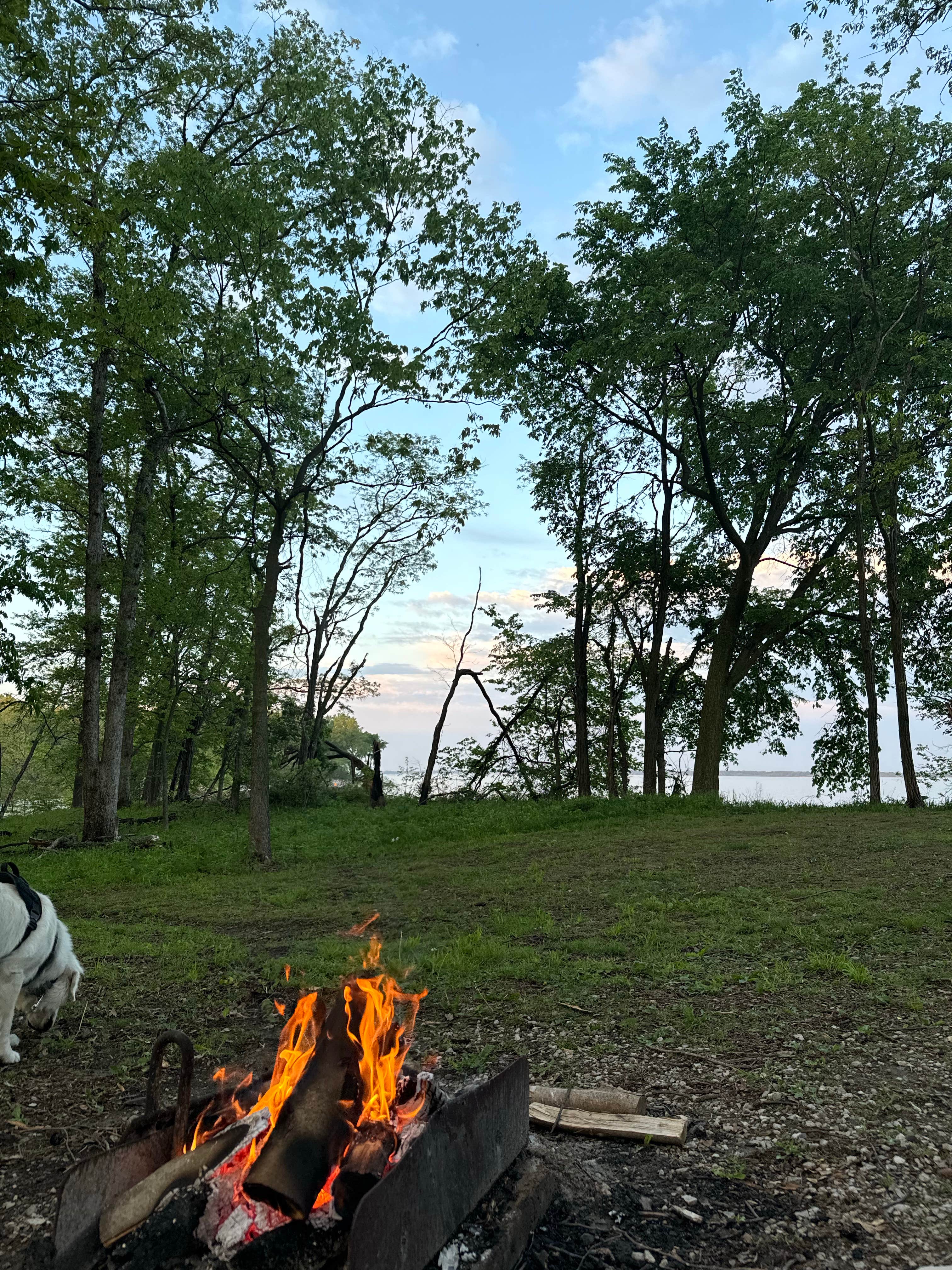 Kelsey S.'s photo of camping with pets at Illini Campground — Eldon Hazlet State Recreation Area near Keyesport, IL