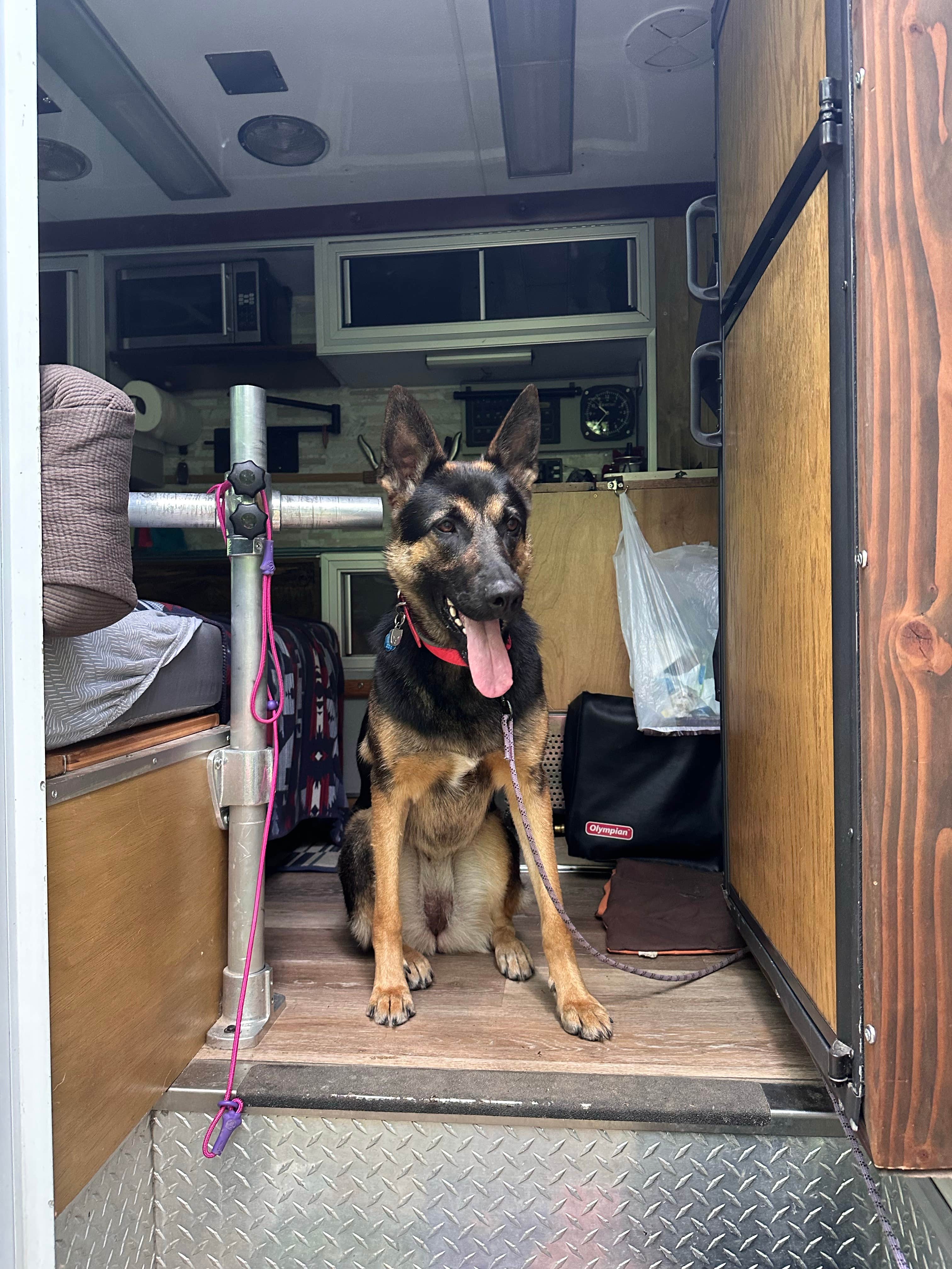 StaceeQ  Q.'s photo of camping with pets at Illini Campground — Eldon Hazlet State Recreation Area near Ramsey, IL