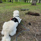 Review photo of Illini Campground — Eldon Hazlet State Recreation Area by Kelsey S., June 15, 2024