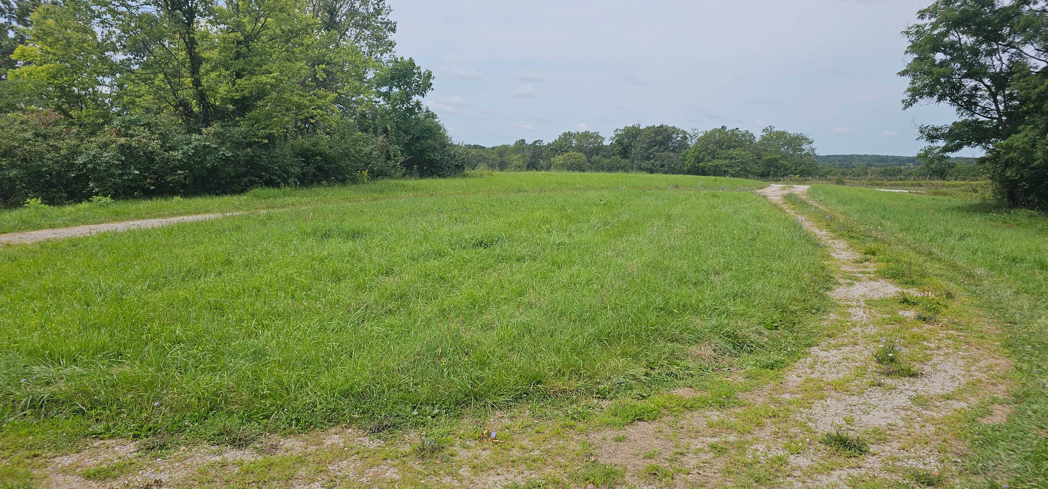 Camper-submitted photo at Eldon Wildlife Management Area near Drakesville, IA