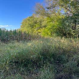 Eldon Wildlife Management Area