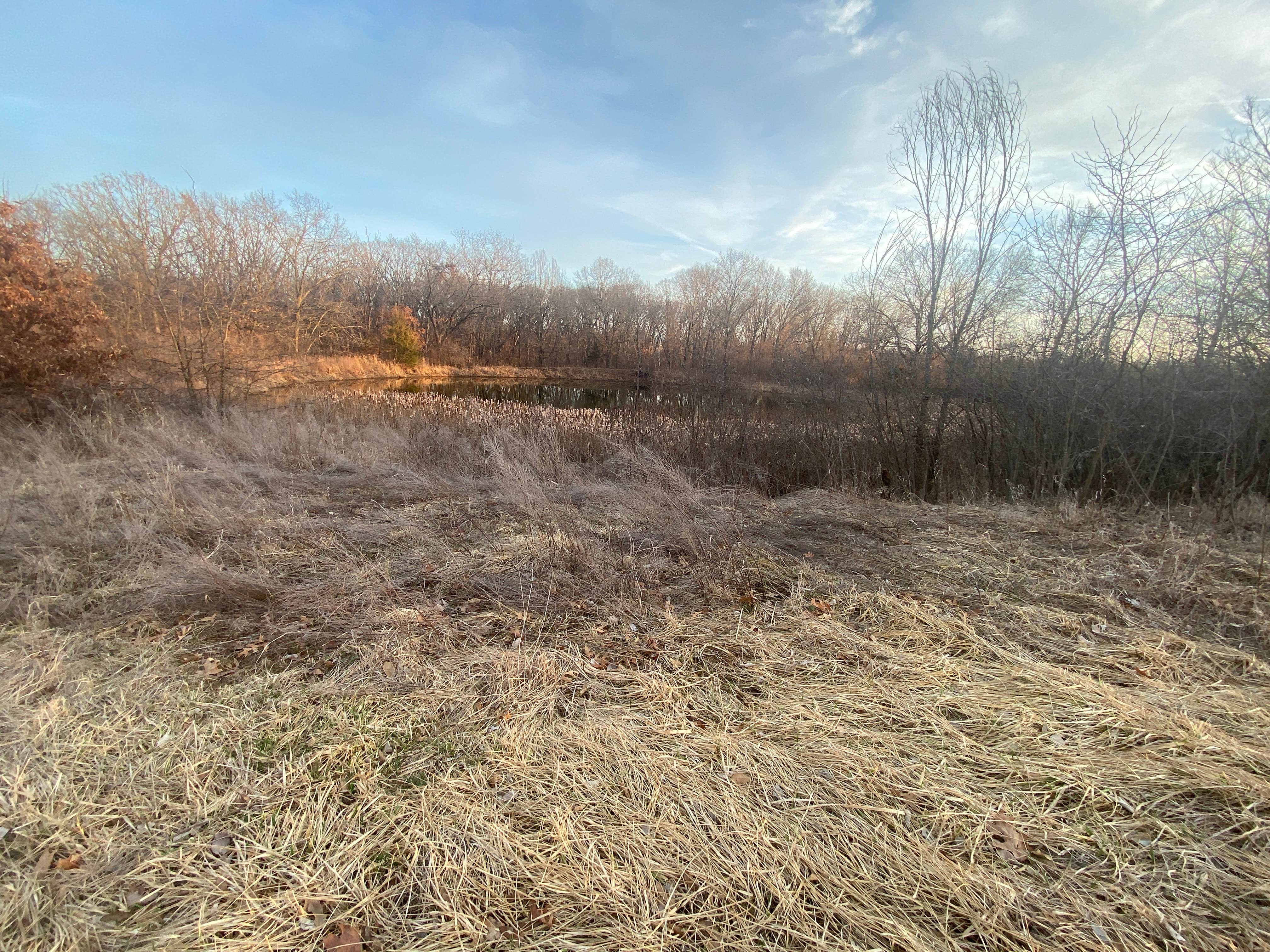 Camper-submitted photo at Eldon Wildlife Management Area near Rathbun Lake