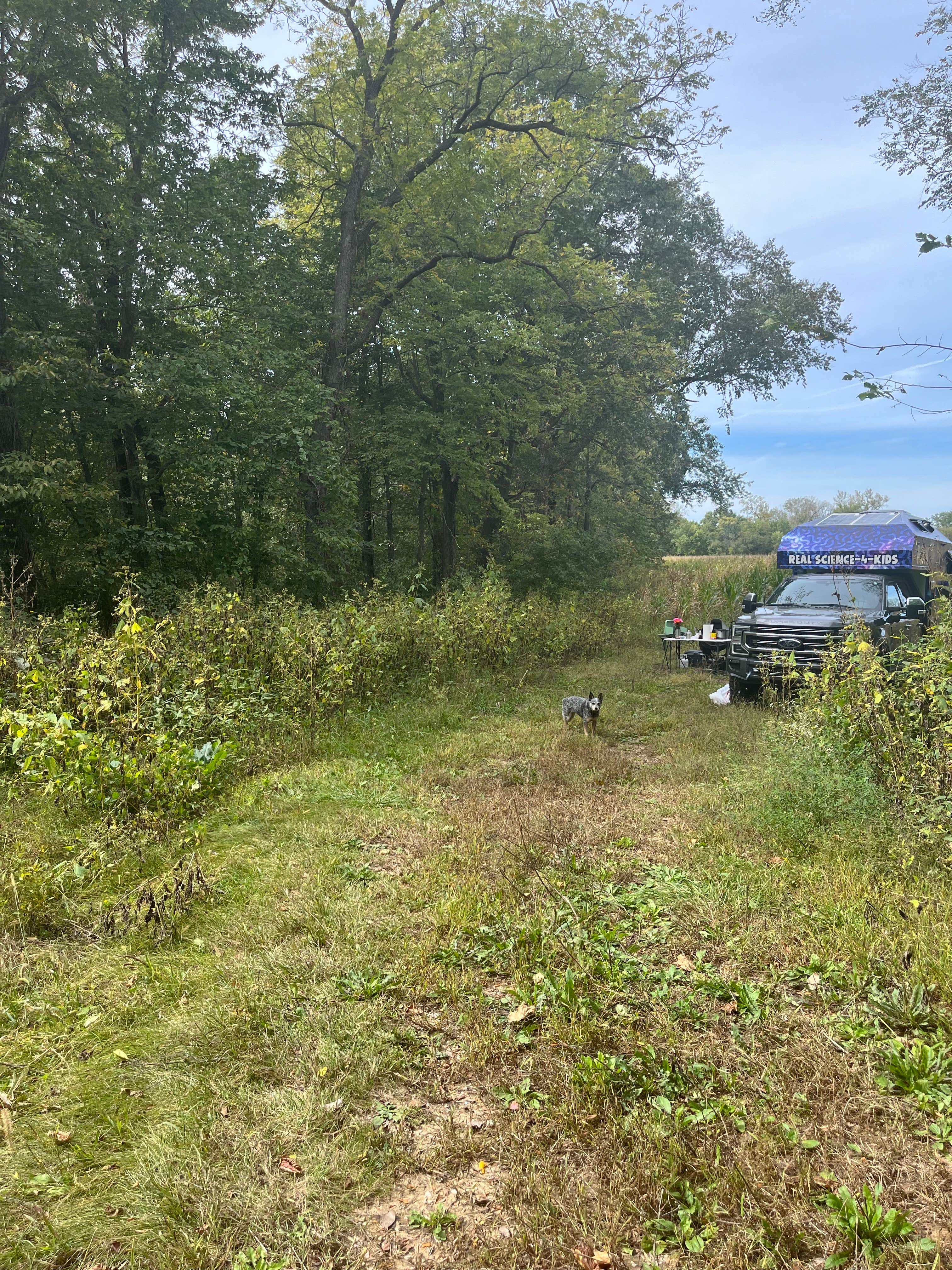 Camper submitted image from Eldon Wildlife Management Area - 5