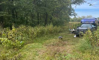 Rebecca W.'s photo of camping with pets at Eldon Wildlife Management Area near Ottumwa, IA