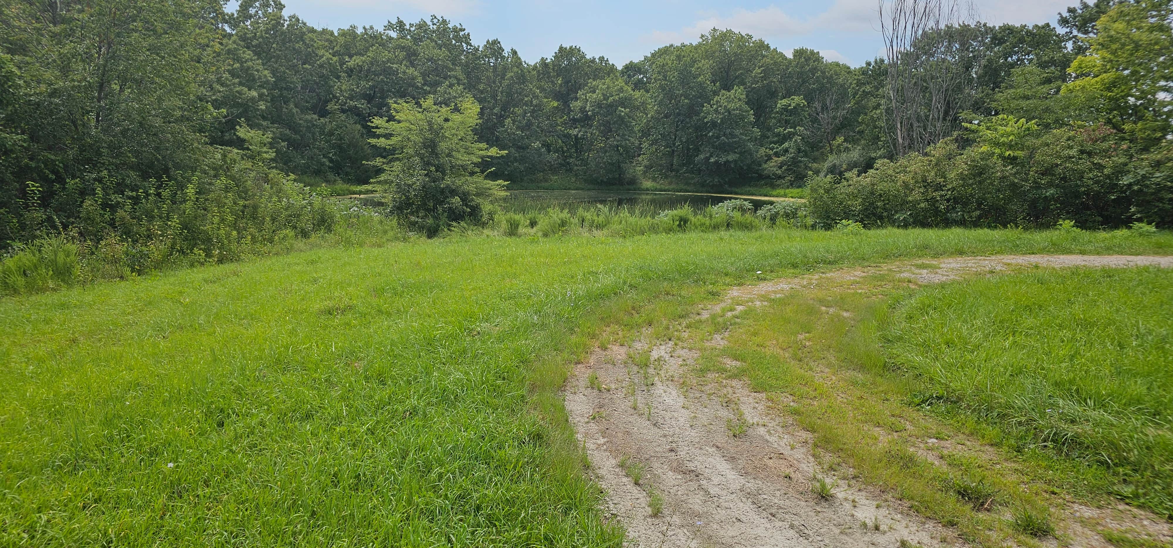 Camper-submitted photo at Eldon Wildlife Management Area near Drakesville, IA