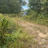 Review photo of Eldon Wildlife Management Area by Rebecca W., September 27, 2024