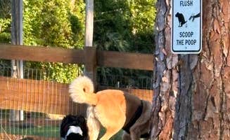 L&A C.'s photo of camping with pets at Eleanor Oaks RV Park near Cedar Key, FL