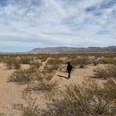 Review photo of South Monticello — Elephant Butte Lake State Park by Crystallyn M., February 28, 2025