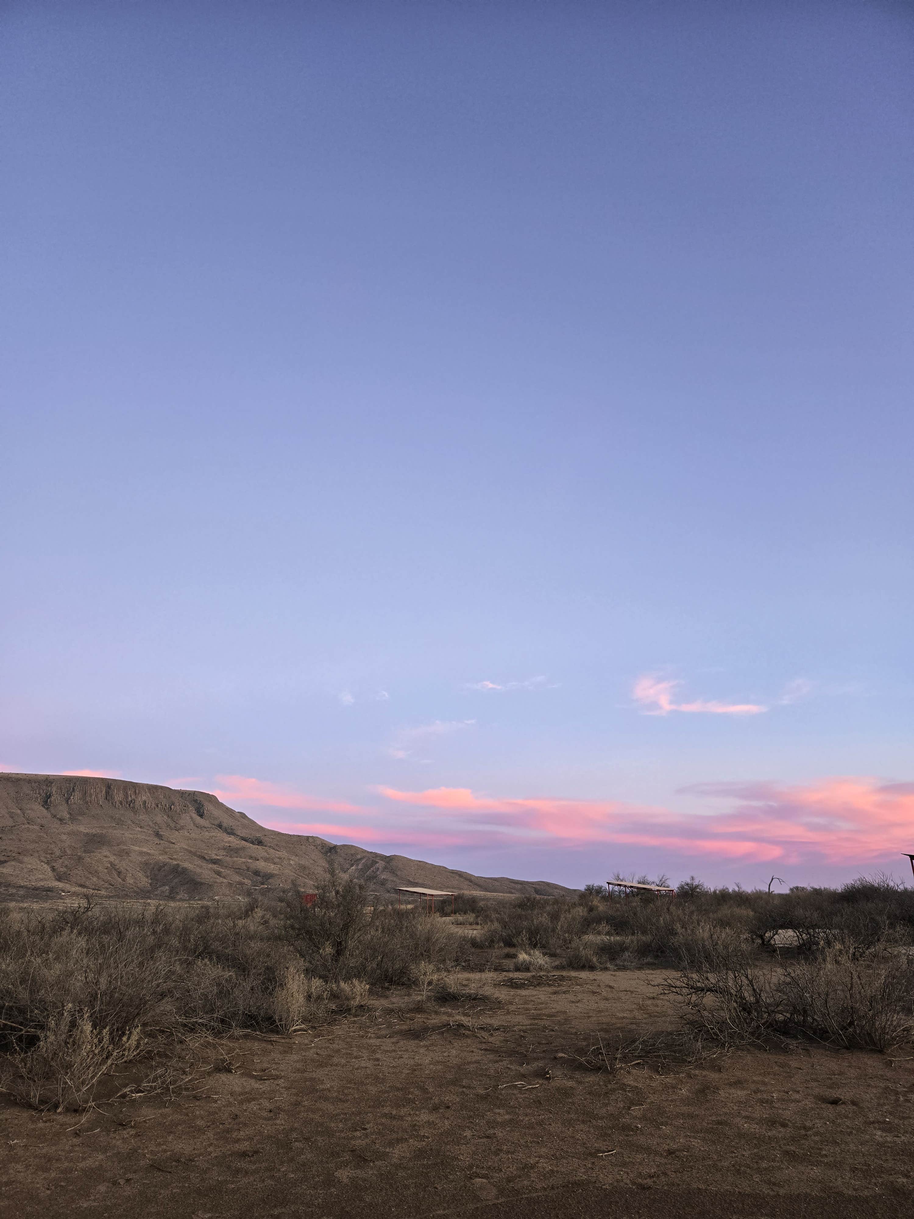 Camper-submitted photo at Elephant mountain WMA near Alpine, TX