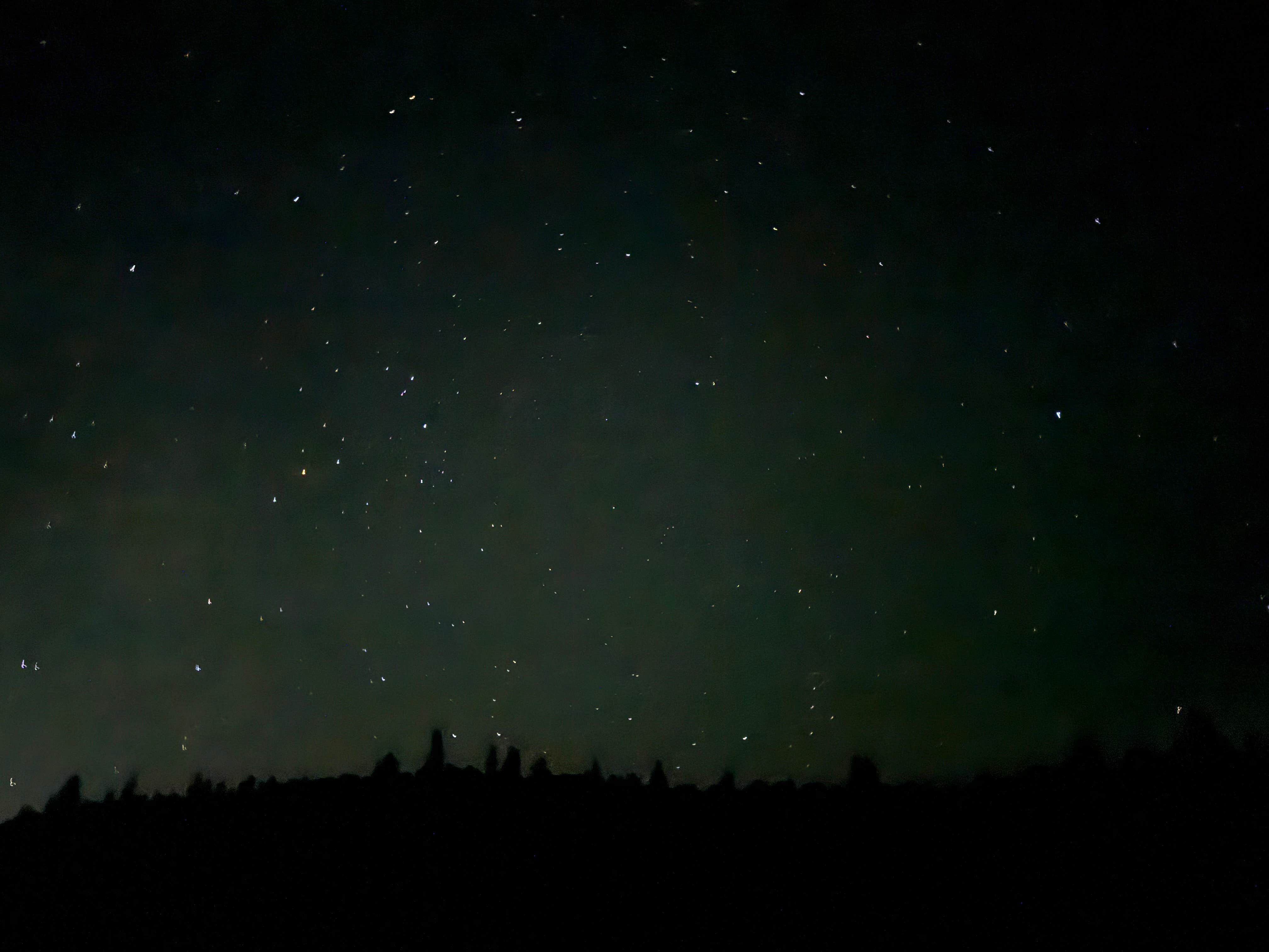 Zelda C.'s photo of a dispersed camping area at Elephant Rock Campground near Buena Vista, CO