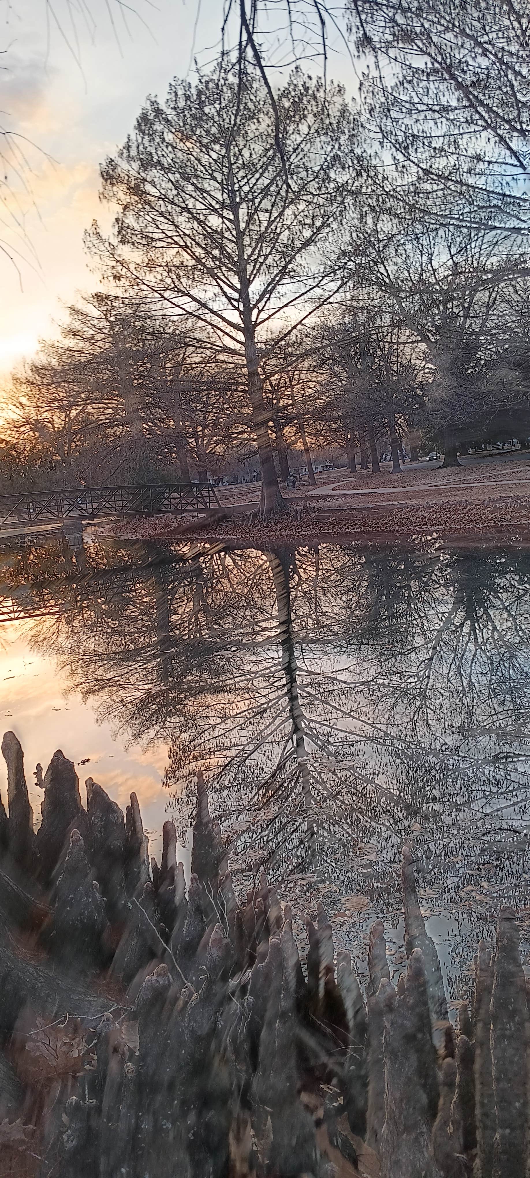 Camping near Sparrow Hawk Camp: Elephant Rock Nature Park, Tahlequah, Oklahoma
