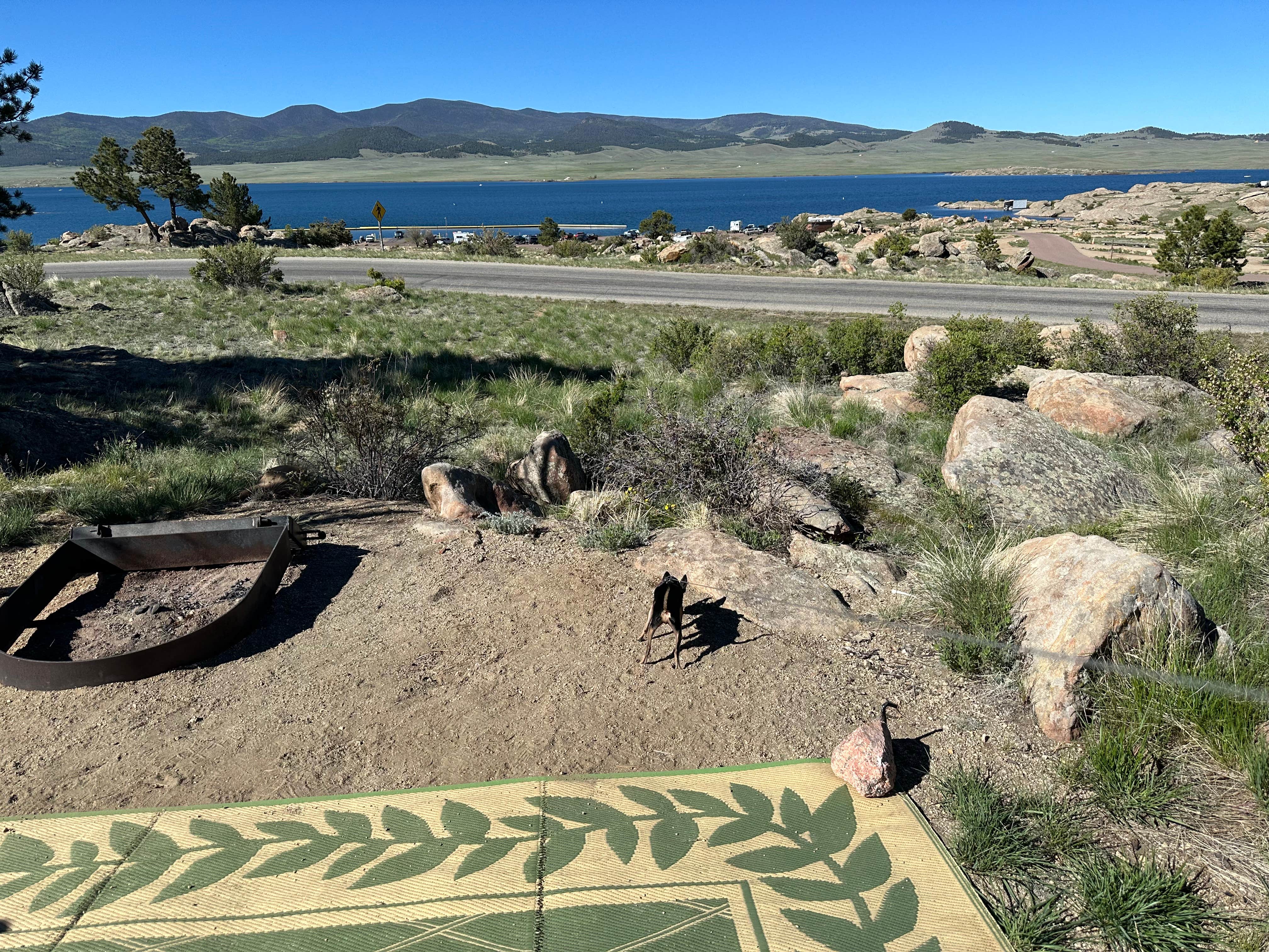James P.'s photo of camping with pets at Rocky Ridge Camground — Eleven Mile State Park near Pike and San Isabel National Forests and Cimarron and Comanche National Grasslands